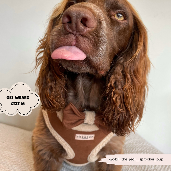 A spaniel mix with long, wavy brown fur is wearing a Brown Aviator Adjustable Neck Harness from the Cocopup London Bundle and looking up with its tongue sticking out. Text in a cloud shape reads "Obi wears size M." The Instagram handle "@obi_the_jedi_sprocker_pup" is at the bottom right.