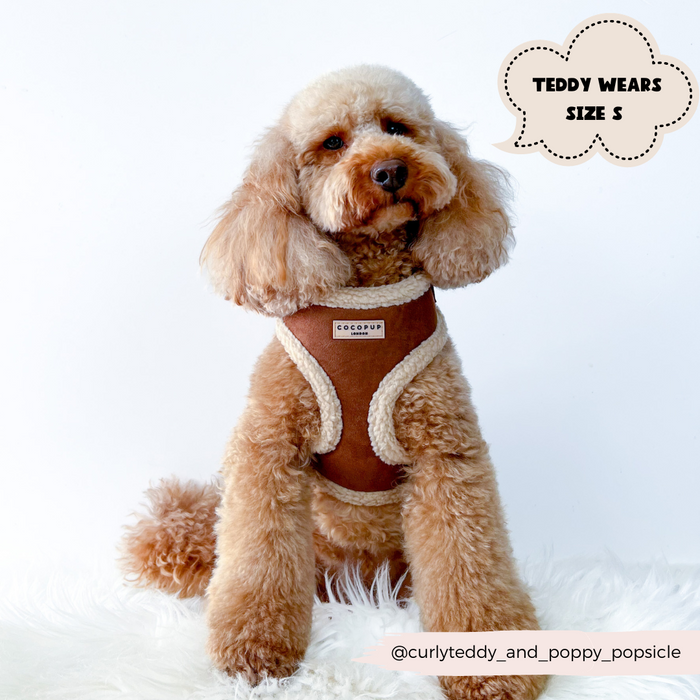 A curly-haired beige dog is sitting while wearing a stylish Brown Aviator Adjustable Neck Harness by Cocopup London, adorned with a tag reading "COCONUT." A speech bubble on the image states, "TEDDY WEARS SIZE S." The Instagram handle "@curlyteddy_and_poppy_popsicle" is displayed at the bottom.