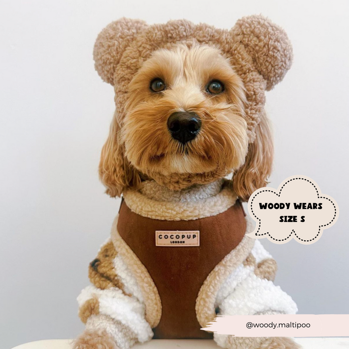 A cute dog with curly fur is wearing a fuzzy bear costume and a stylish Brown Aviator Adjustable Neck Harness labeled "Cocopup London." A speech bubble reads, "WOODY WEARS SIZE S." An Instagram handle "@woody.maltipoo" is visible in the bottom right corner.