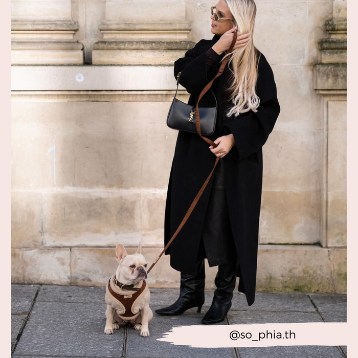 Woman walking a tan French bulldog on a city sidewalk with a brown Cocopup London Aviator leash.