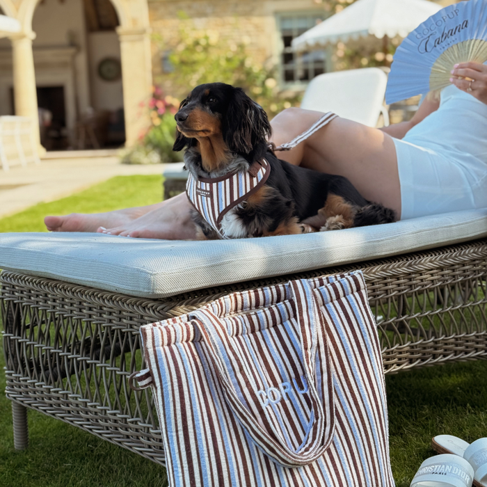 Brown & Blue Stripes Adjustable Neck HARNESS
