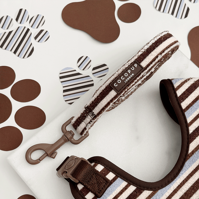 Brown, blue and white striped Dog Lead, with brown hardware and Cocopup logo badge.