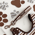 Brown, blue and white striped Dog Lead, with brown hardware and Cocopup logo badge.