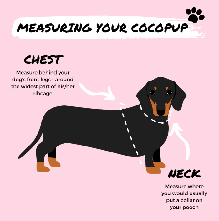 Infographic detailing how to measure your dog for a harness. The background is pink, featuring a black dachshund illustration. It outlines the areas to measure for the chest (behind the front legs, around the ribcage) and neck (where a collar would be placed) to ensure an ideal fit of your Cocopup London Brown Tweed Adjustable Neck Harness, Lead & Collar Bundle during dog walks.