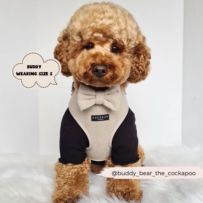 A brown cockapoo dog is wearing a beige and black Brown Tweed Adjustable Neck Harness from Cocopup London, complete with an adorable bow tie. A speech bubble above says "Buddy wearing size S." The dog's Instagram handle, @buddy_bear_the_cockapoo, is displayed at the bottom. The background showcases a light-colored indoor setting.