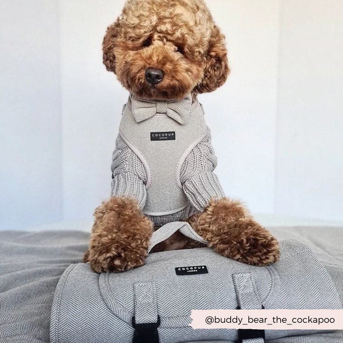 A fluffy brown dog, likely a poodle mix, wearing a grey outfit with a bow tie sits on a bed. In front of the dog is a grey herringbone-patterned bag and Cocopup London's Brown Tweed Adjustable Neck Harness. The Instagram handle "@buddy_bear_the_cockapoo" is displayed in the bottom right corner of the image.