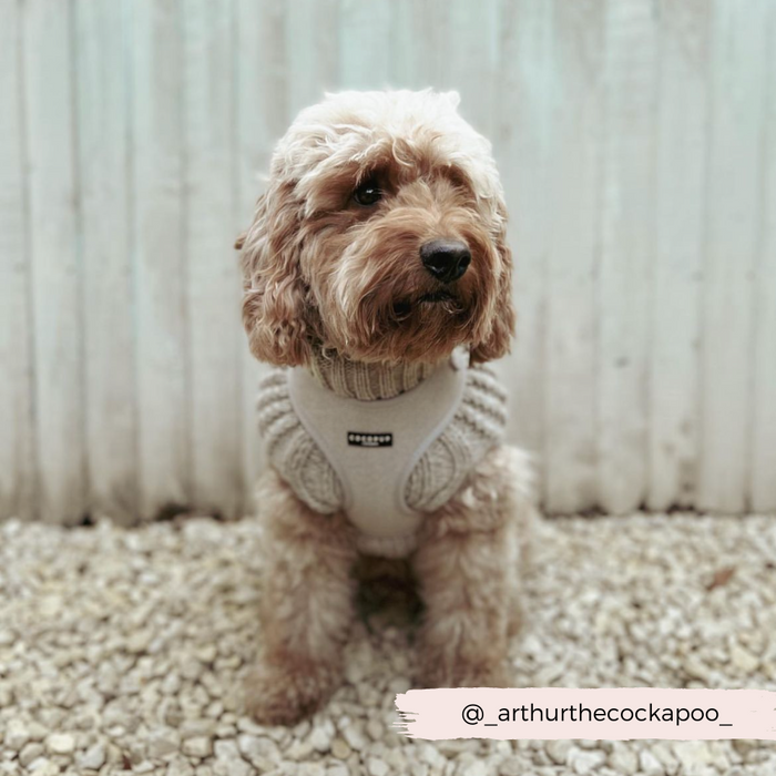 A fluffy cockapoo wearing a cozy, light grey sweater and a stylish Brown Tweed Adjustable Neck Harness by Cocopup London sits on a bed of small pebbles against a wooden plank background. The Instagram handle @_arthurthecockapoo_ is displayed at the bottom right of the image.