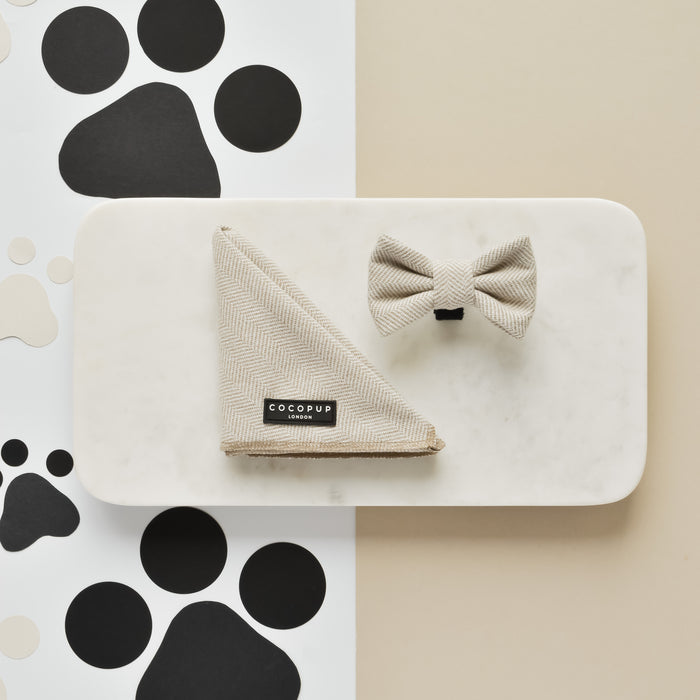 Brown tweed bow tie by Cocopup London displayed on a white tray with black paw print paper in the background.