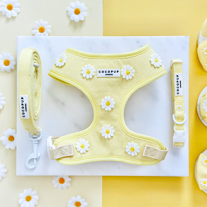 Yellow adjustable harness, collar, and lead with white daisy print from Cocopup London Buttercup Pup bundle.