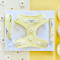 Yellow adjustable harness, collar, and lead with white daisy print from Cocopup London Buttercup Pup bundle.