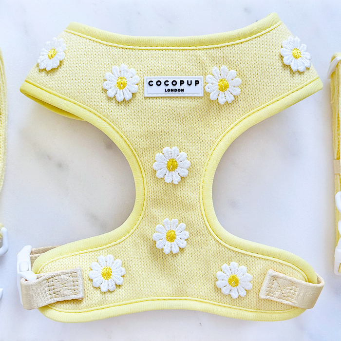 Yellow adjustable harness, lead, and collar set with white daisy embroidery, displayed on a marble surface.