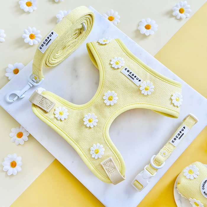 Daisy-patterned adjustable harness, lead, and collar bundle for dogs in soft yellow and white by Cocopup London.
