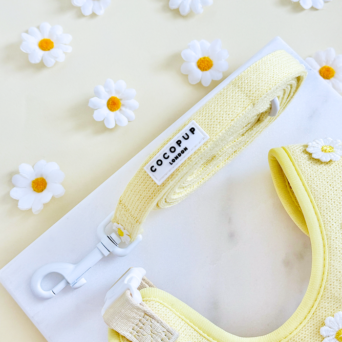 Cocopup London Buttercup Pup harness, lead, and collar set in white with yellow daisy pattern.