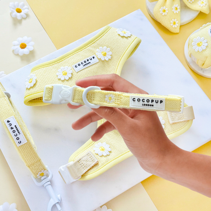 Hand holds yellow daisy-patterned dog collar and matching lead bundle on a white surface.