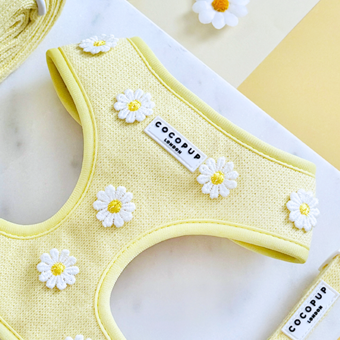 Buttercup Pup adjustable neck harness by Cocopup London, yellow with white daisy pattern, on a marble surface.