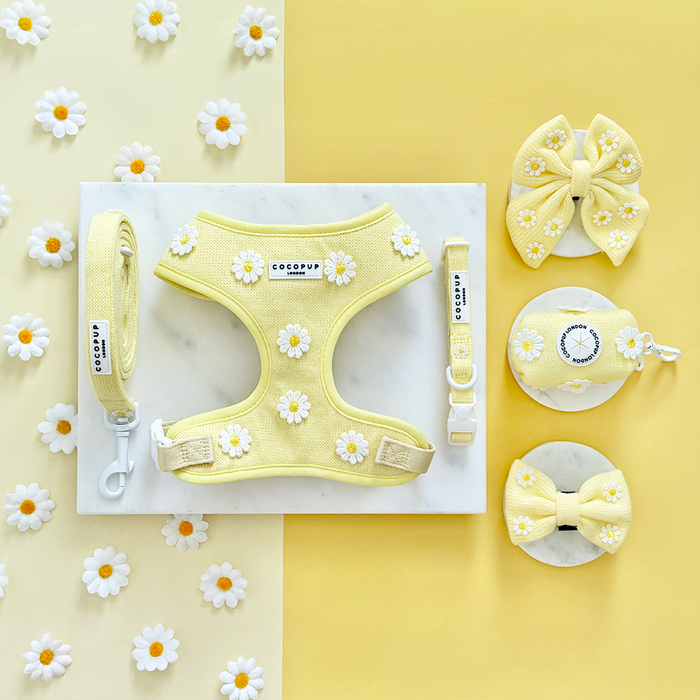 Yellow harness with white daisy pattern, shown with matching leash, collar, and bows.