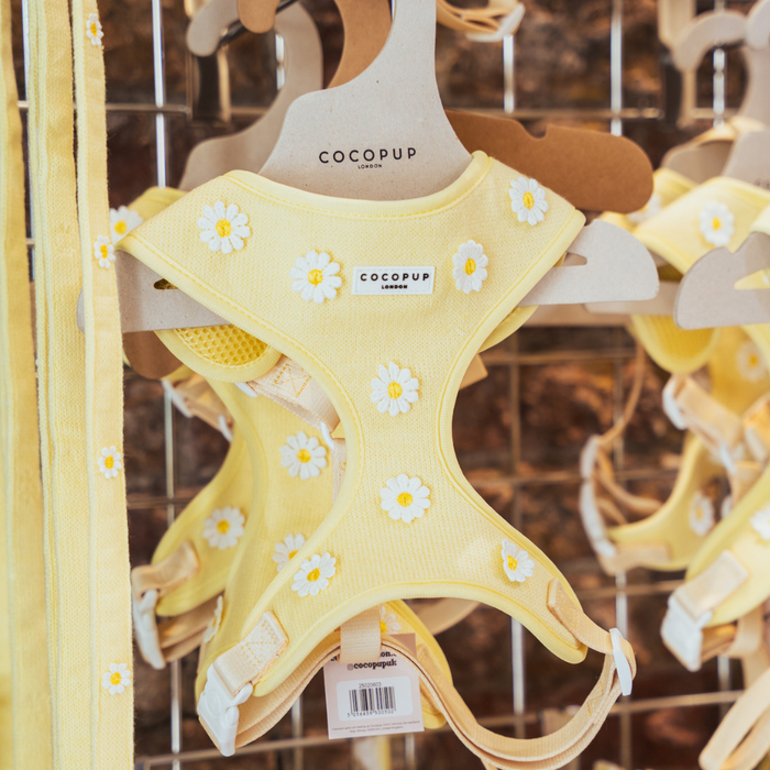 Yellow daisy print dog harness, lead, and collar bundle on wooden hangers.