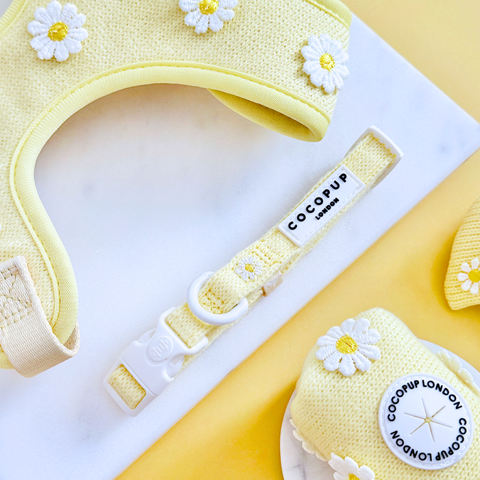 Yellow Cocopup London Buttercup Pup collar with white daisy pattern on a yellow and white background.
