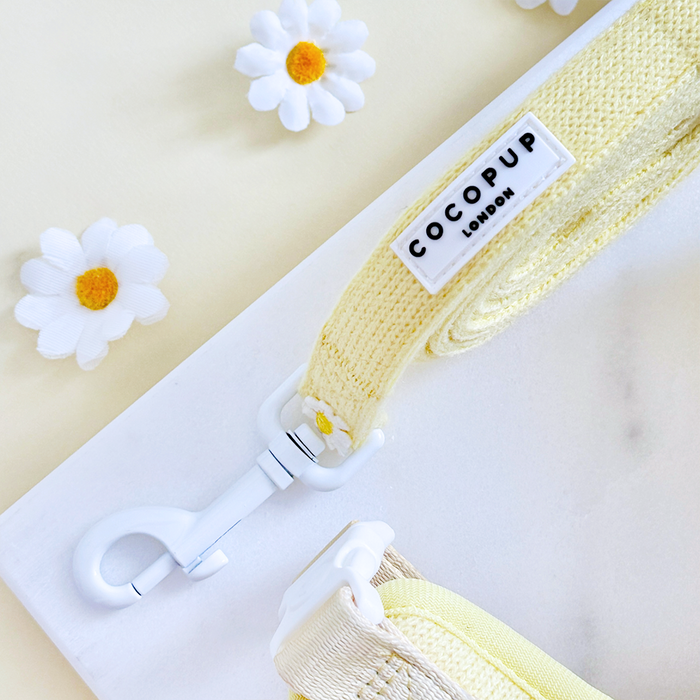 Yellow Buttercup Pup dog lead with daisy pattern, white clasp, and Cocopup London label on a light backdrop.