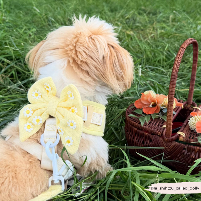Small dog wearing a yellow floral sailor bow tie sits on grass next to a basket of orange flowers, facing away.