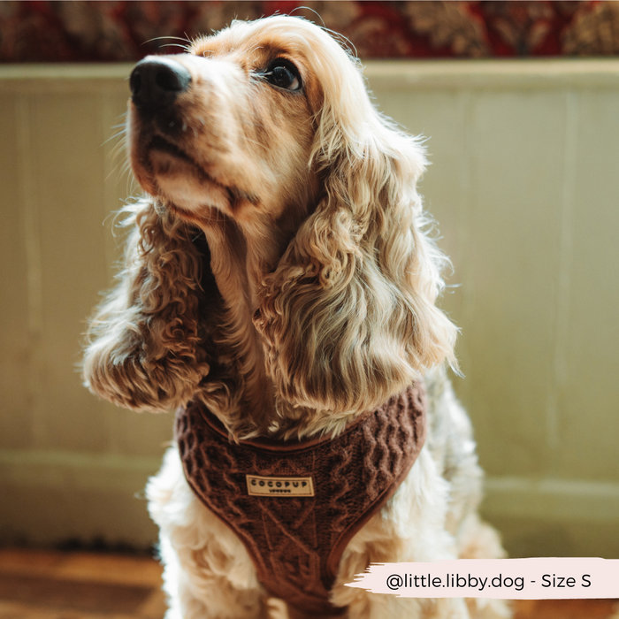Cocker spaniel wearing a brown cable knit adjustable harness by Cocopup London. Size S.