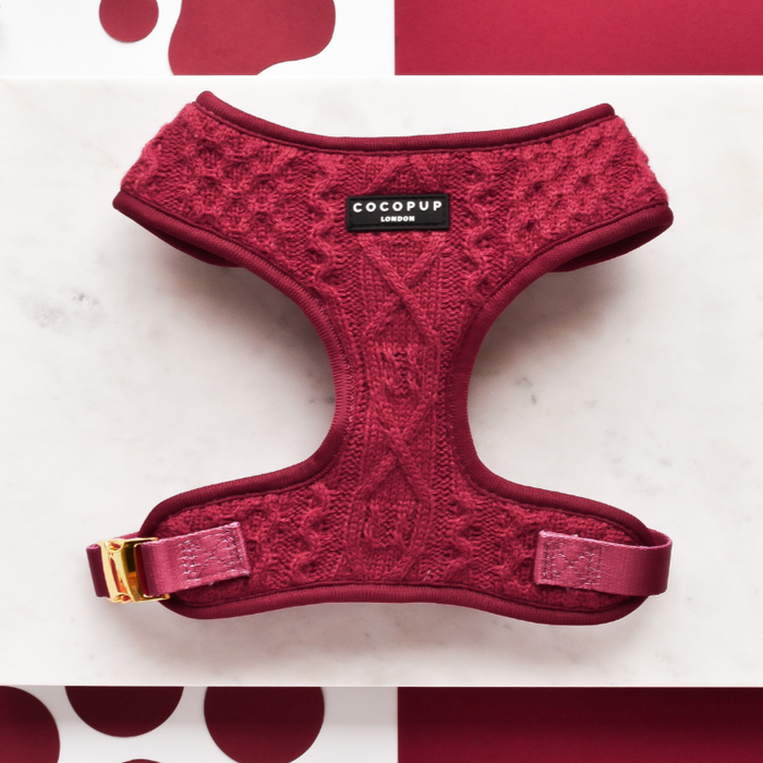 Maroon cable knit adjustable neck dog harness with Cocopup London tag, displayed on a white and red background.