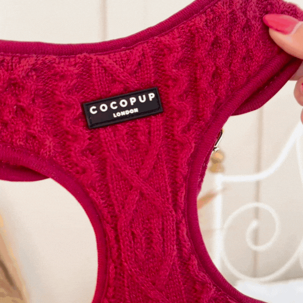 Hand holding a maroon cable knit Cocopup London dog harness with metal hardware and visible logo label.