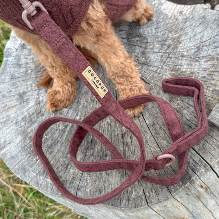 Small dog wearing a brown cable knit adjustable harness sits outside with a leash attached.