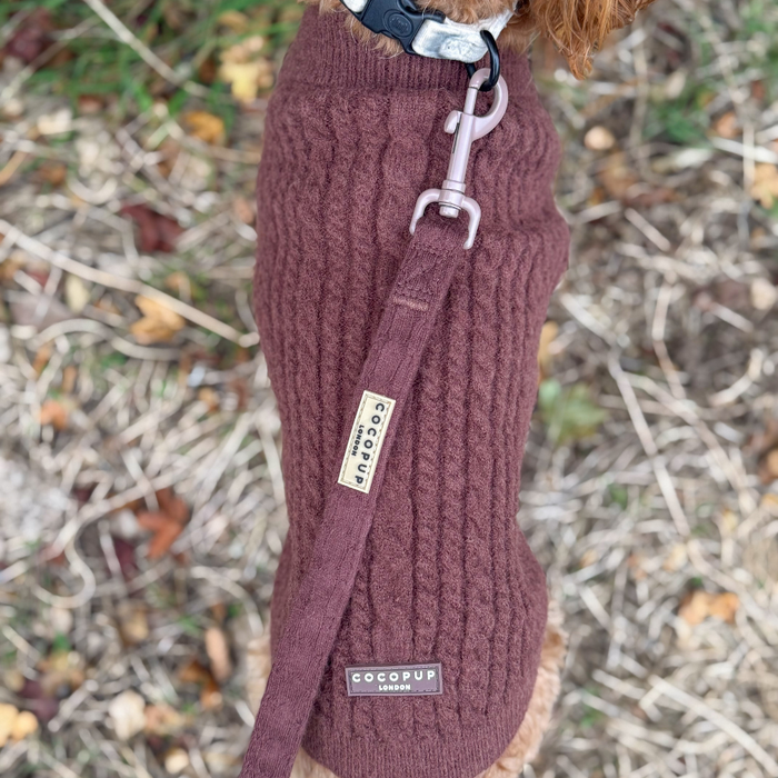 Small dog wearing a brown cable knit harness, lead, and collar set on dry grass.