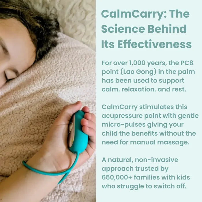 CalmCarry® Kids Mini Bear