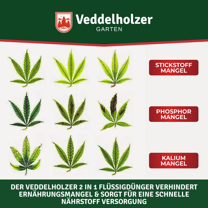 Neun Cannabisblätter zeigen Mangelbilder in drei Reihen: Stickstoffmangel, Phosphormangel und Kaliummangel
