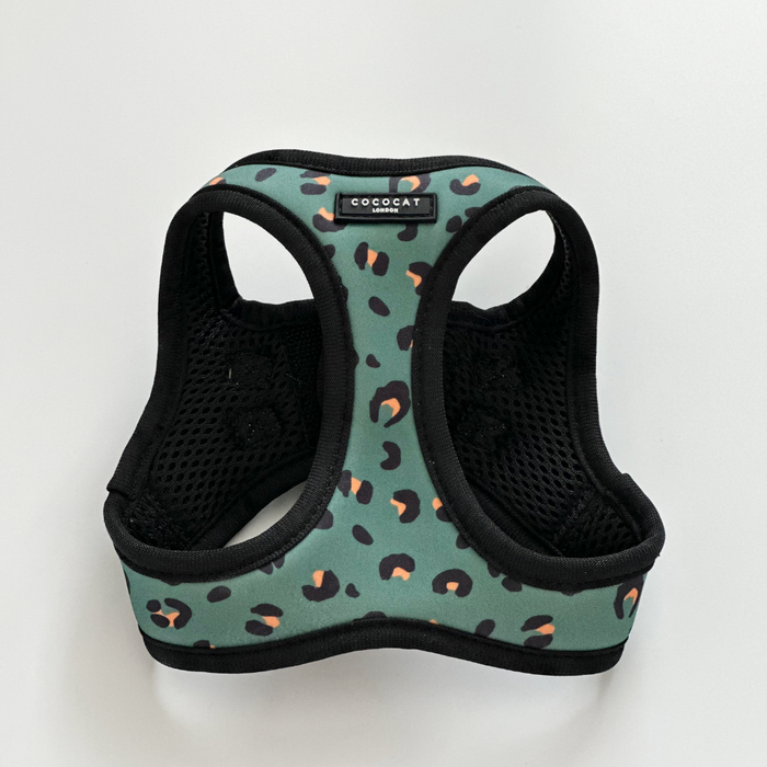 Khaki leopard print cat harness with black trim displayed on a white background.