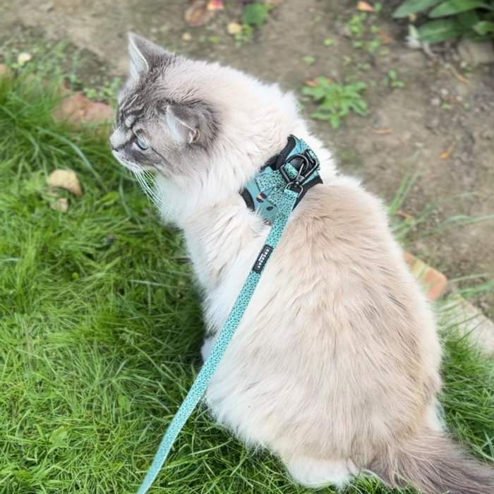 White and gray cat wearing a khaki leopard print Cocopup London harness sits on grass facing left.