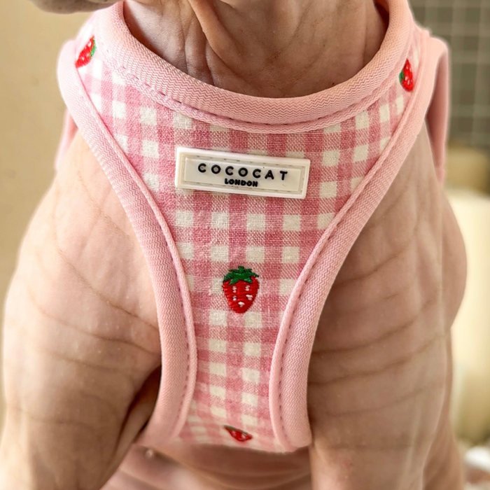 Hairless cat wearing a pink checkered harness with Strawberry Picnic label by Cocopup London.