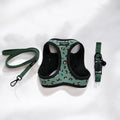 Khaki leopard print cat harness, lead, and collar with bell set on a white surface.
