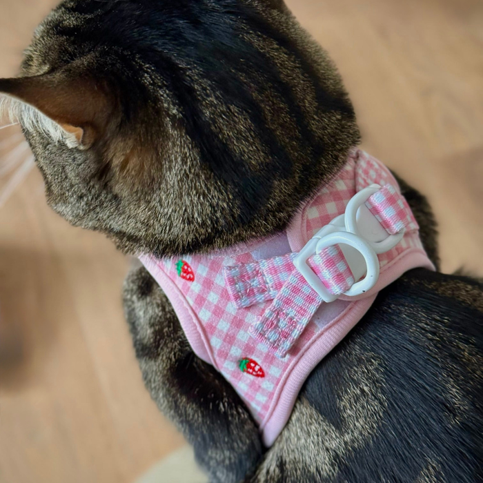 Tabby cat in a pink harness, lead, and collar set with strawberry print from Cocopup London.