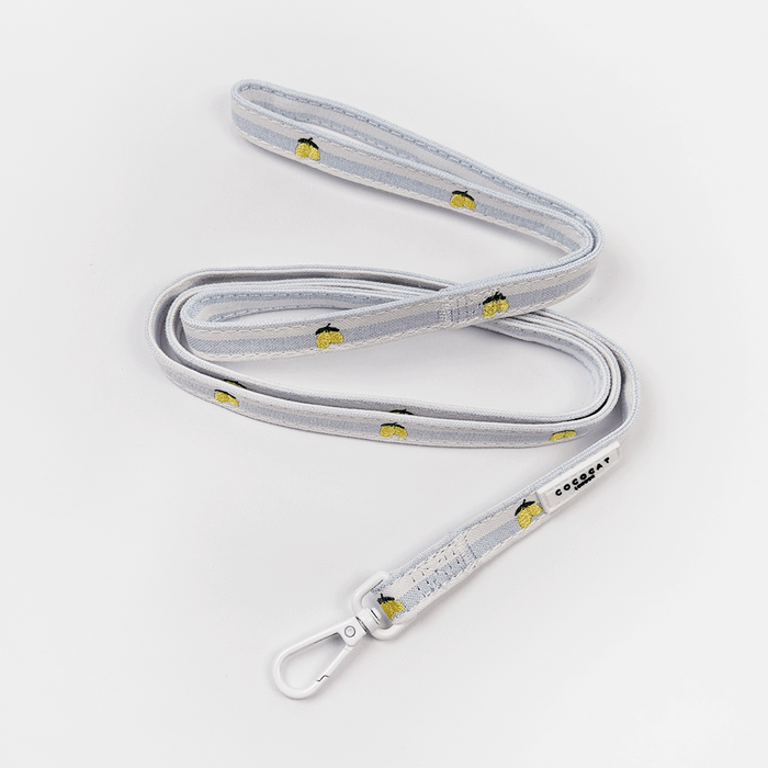 Cat lead with yellow lemon pattern on light grey, finished with a white clasp.