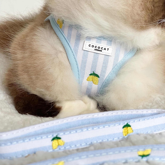 Tabby cat wearing a yellow lemon-patterned fabric lead from Cocopup London.