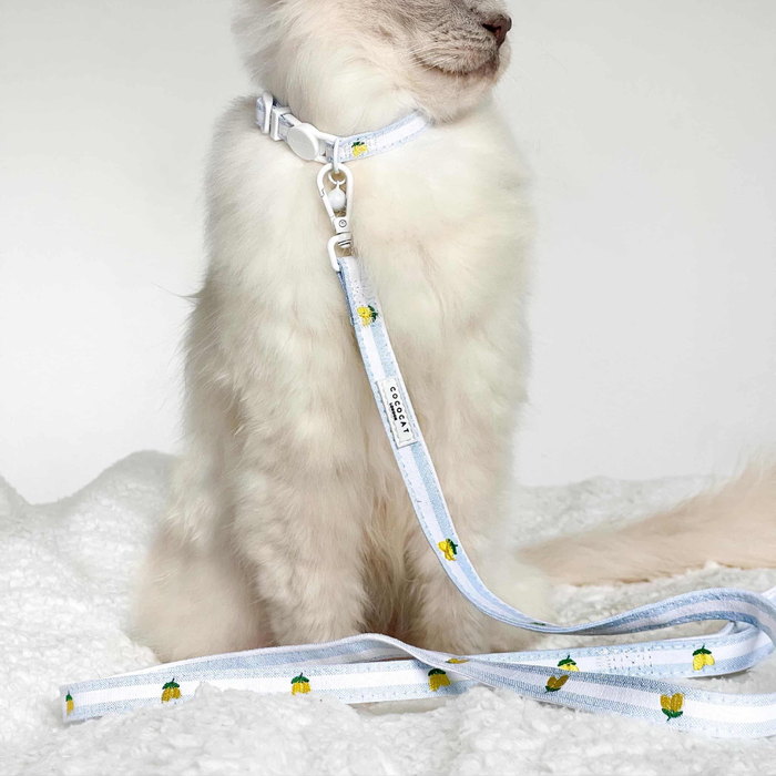 White fluffy cat wearing a yellow lemon-print Cocopup London cat lead, sitting on a white blanket.