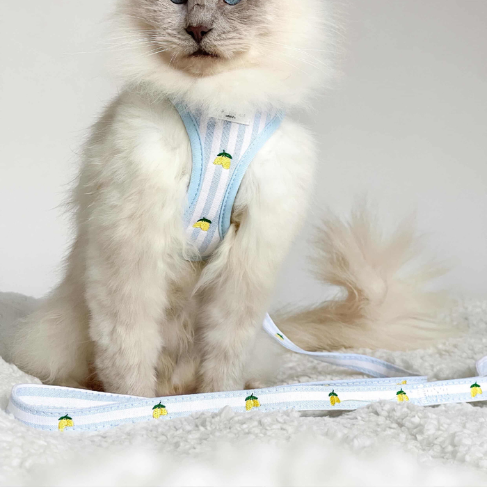 White cat wearing a yellow lemon-print Cocopup harness sits beside matching lead on a soft, light-colored surface.