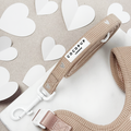Chai Hearts dog lead by Cocopup London on a white surface with scattered white paper hearts in the background.