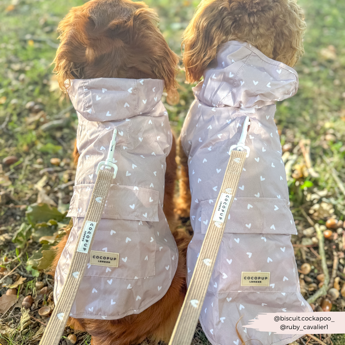 Two dogs in matching light pink raincoats sit on grass, wearing Cocopup London Chai Hearts patterned leads.