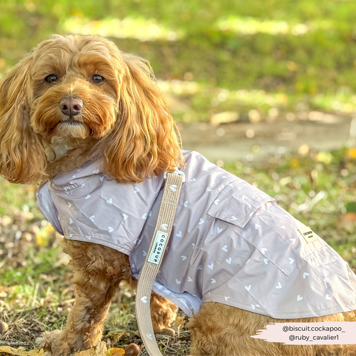 Brown curly-haired dog in a light jacket sits on grass with a beige Cocopup London lead featuring heart patterns.