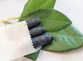 Charcoal Floss Refill Spools (3-pack)