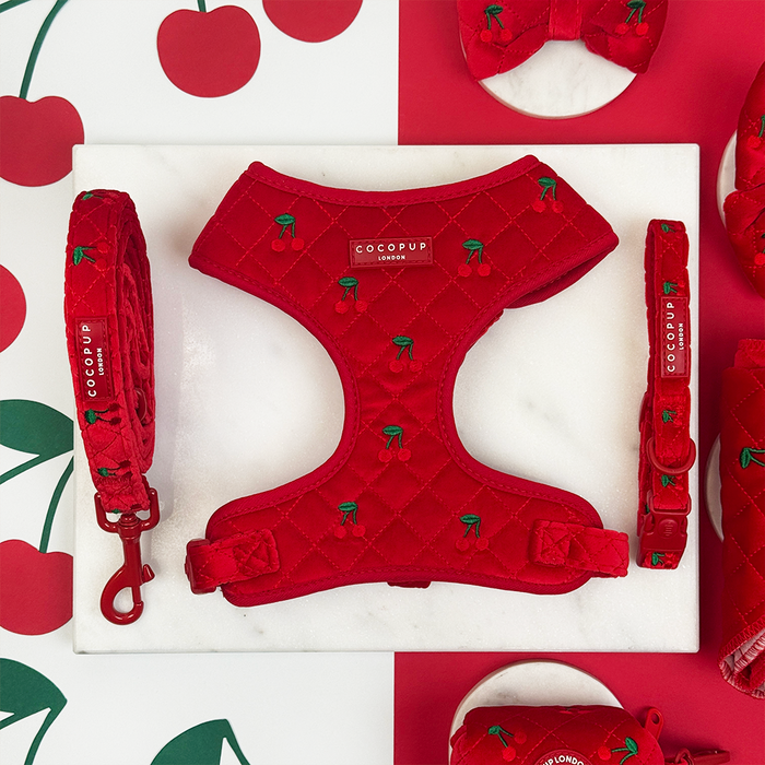Cherry red velvet dog harness, lead, and collar set with gold hardware on a red and white background.
