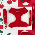 Cherry red velvet dog harness, lead, and collar set with gold hardware on a red and white background.