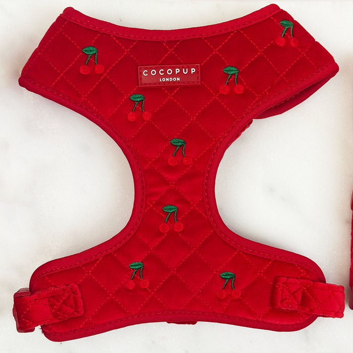 Red velvet adjustable harness, collar, and lead set with cherry embroidery from Cocopup London.