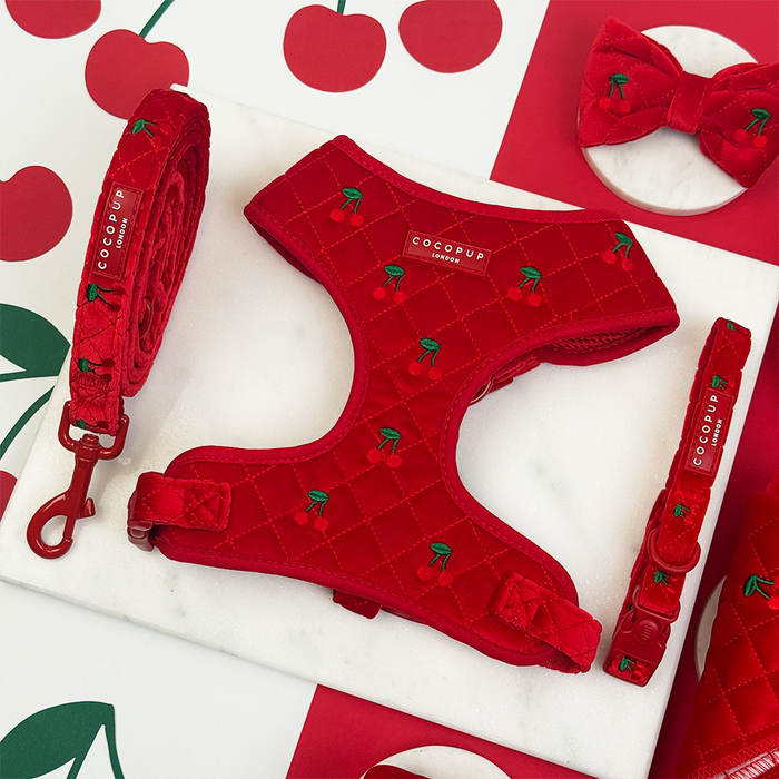Cherry red velvet harness, lead, and collar set from Cocopup London displayed on a white and red background.