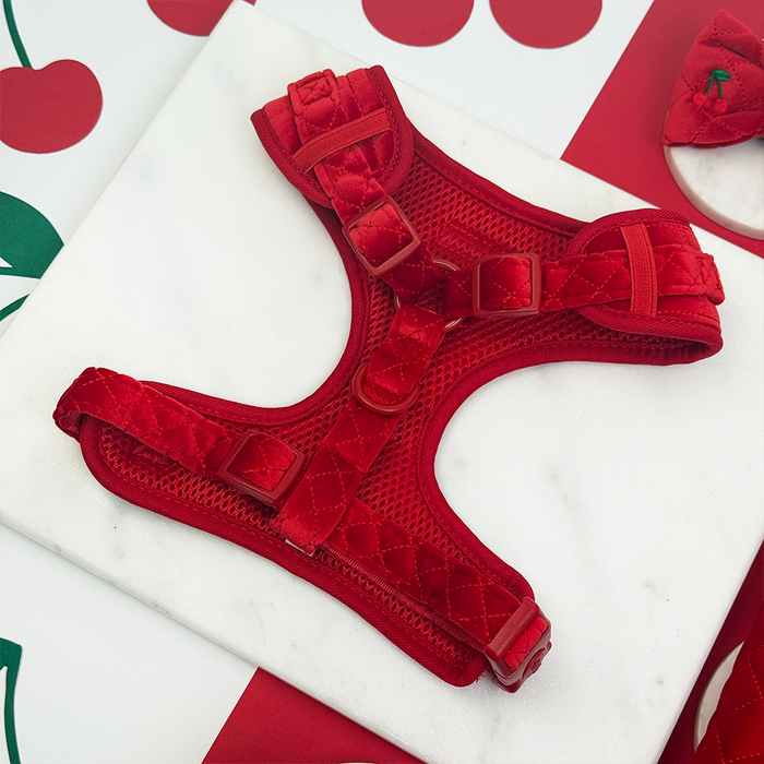 Cocopup London cherry-print velvet harness, lead, and collar set displayed on a white marble surface.