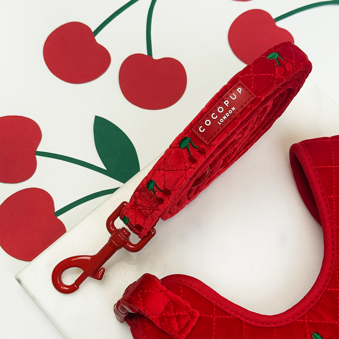 Cherry-patterned Cocopup London velvet harness, lead and collar set in red and pink with adjustable neck.